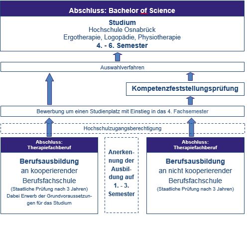 Ergotherapie Logopadie Physiotherapie B Sc Hochschule Osnabruck